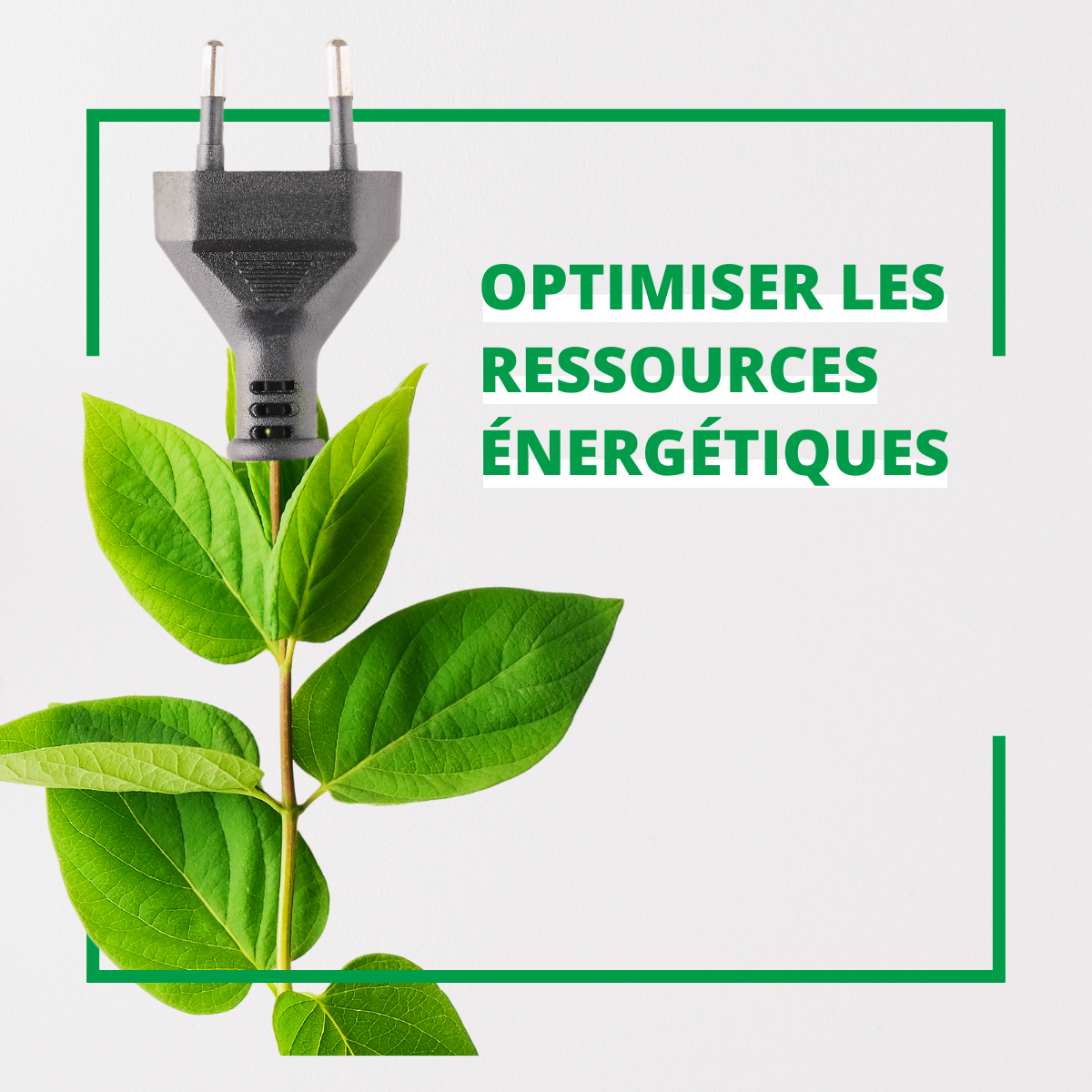 Optimiser les ressources énergétiques