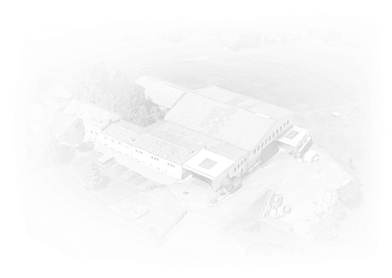 1995 - Historique - EMI Wissler