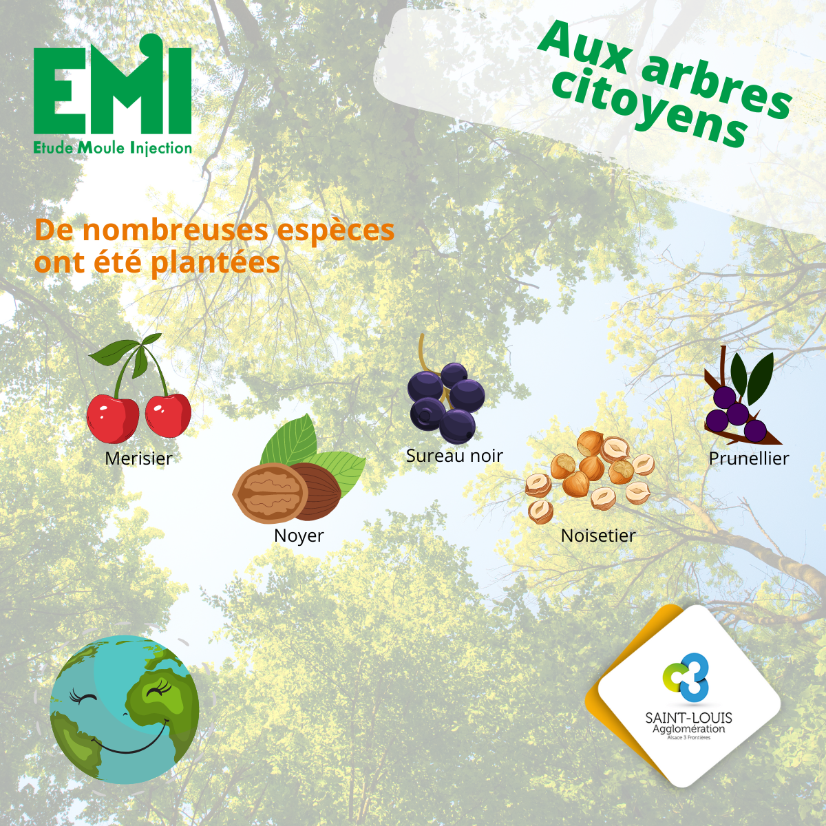 VISUEL PLANTATION ARBRES.png